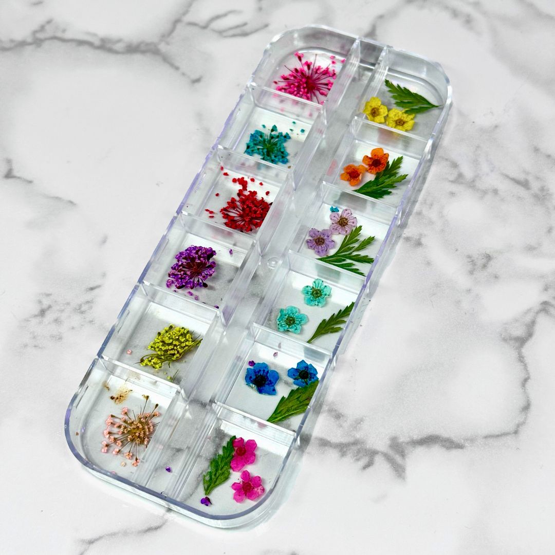 Real Dried Flower Set