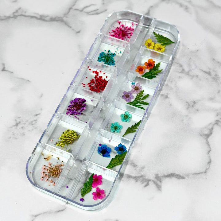 Real Dried Flower Set