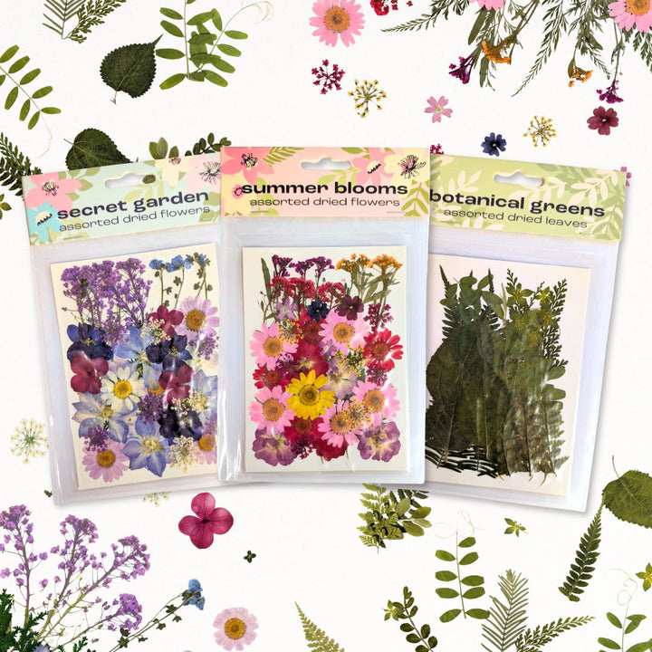 Dried Flower Sets