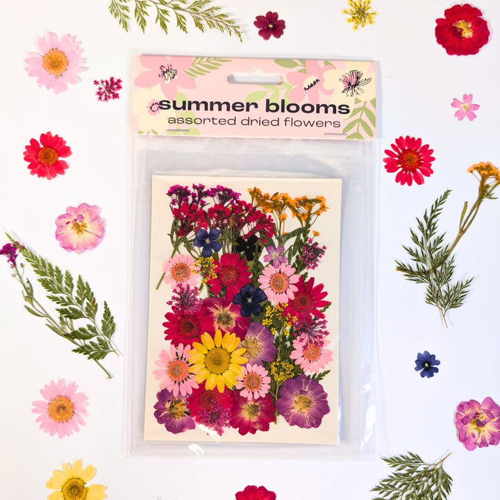 Dried Flower Sets