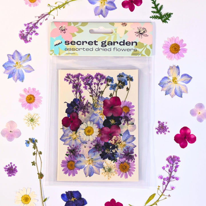 Dried Flower Sets